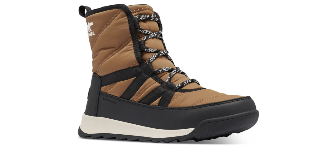 Screenshot 2025 03 21 at 11 19 32 AM